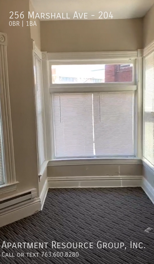 256 Marshall Ave #204 - Photo 4 of 13