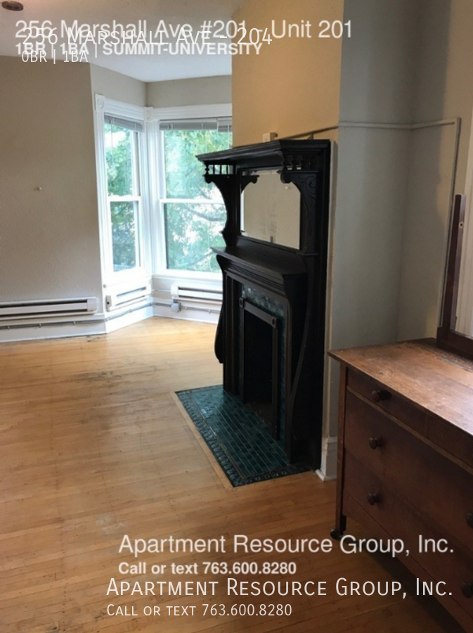 256 Marshall Ave #204 - Photo 5 of 13