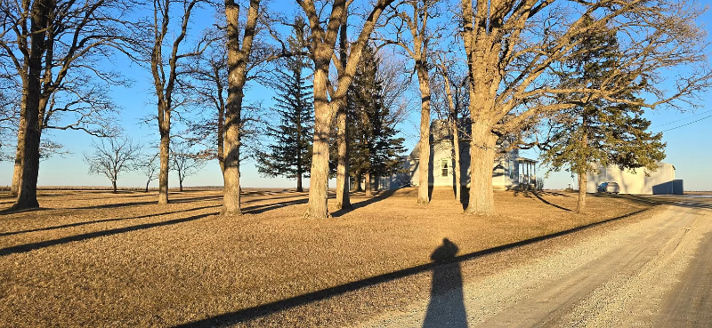 10006 60th Ave Sw - Photo 2 of 10