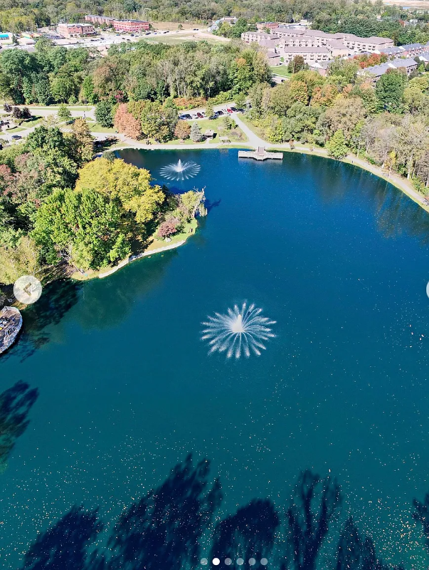 8357 Williamstown Dr - Photo 2 of 16