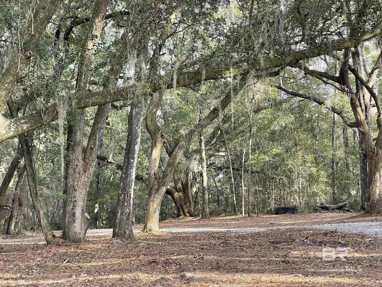 6621 Purvis Rd - Photo 3 of 50