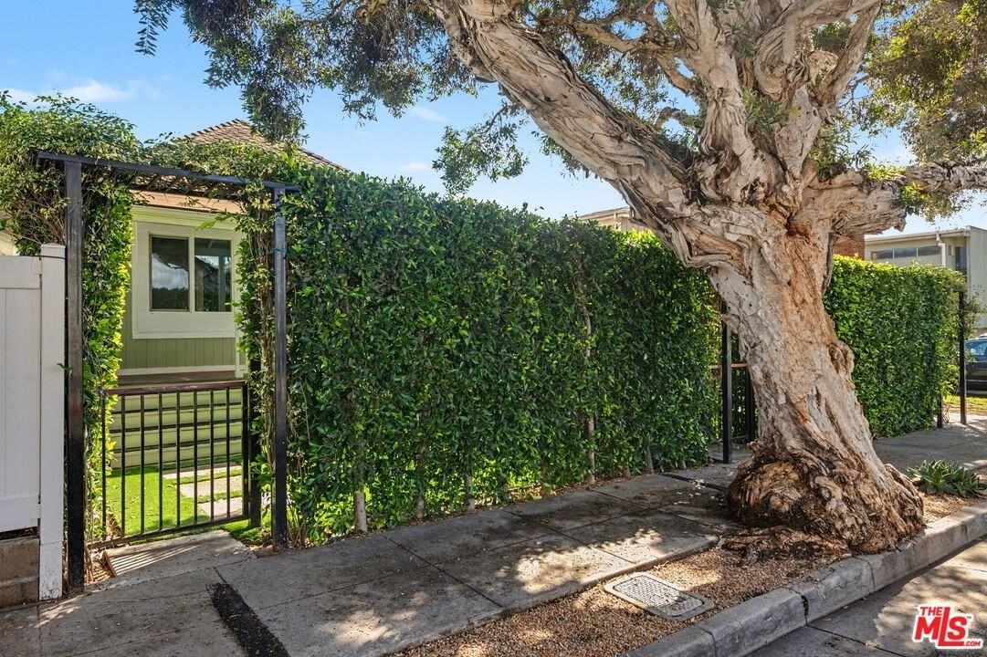 516 Hill St - Photo 7 of 28