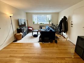 81 Green St #46 - Photo 1 of 1