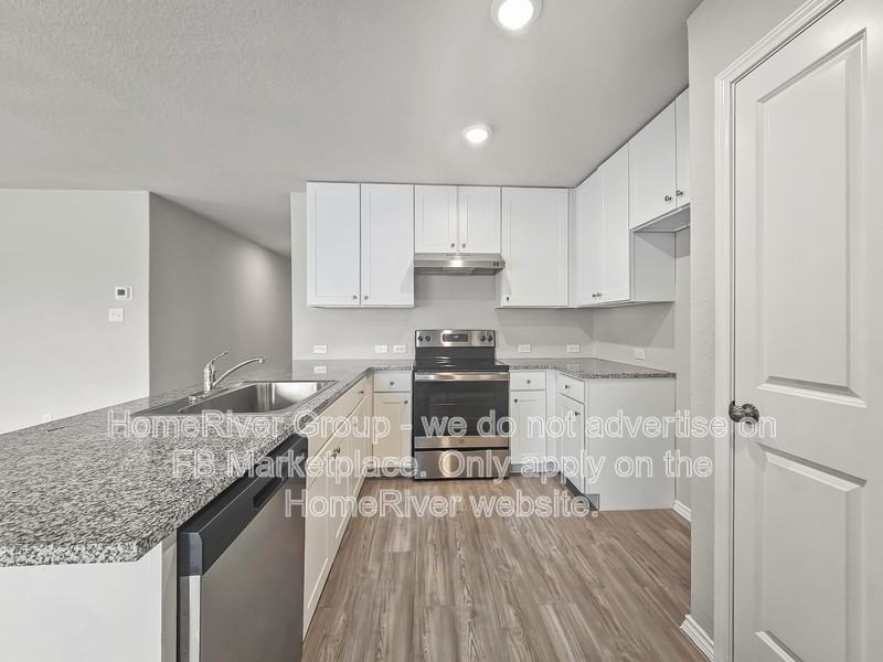 1911 Grey Catbird - Photo 6 of 20