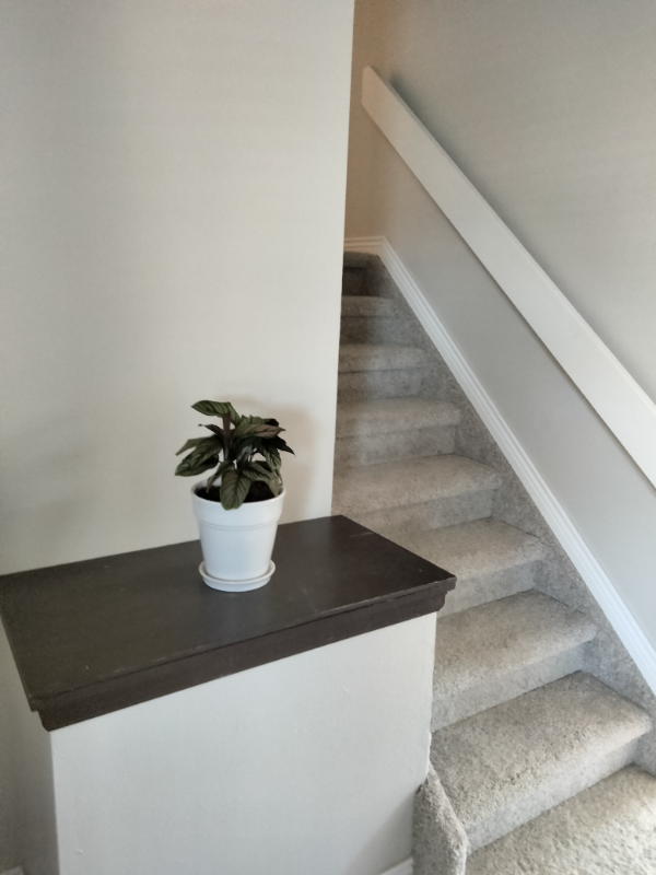 11319 Lamar St #A - Photo 6 of 40