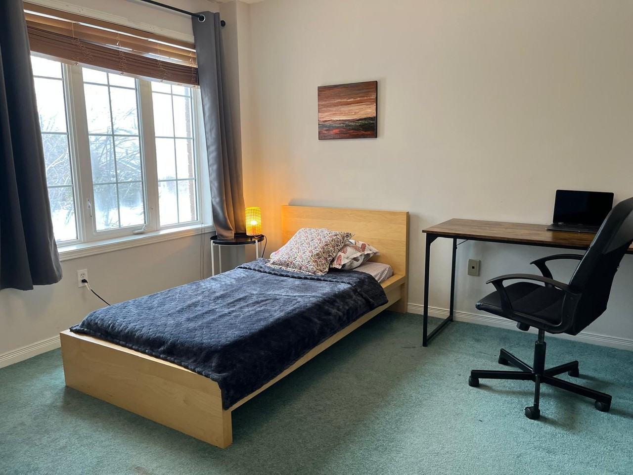 Woodroffe Ave & Earl Mulligan Dr #Room - Photo 3 of 11