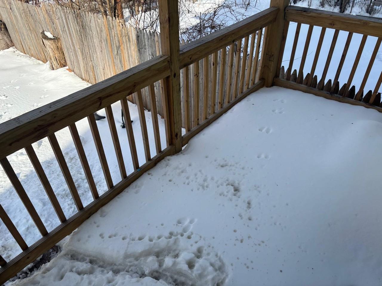 78 N Hamilton St #1 - Photo 7 of 8