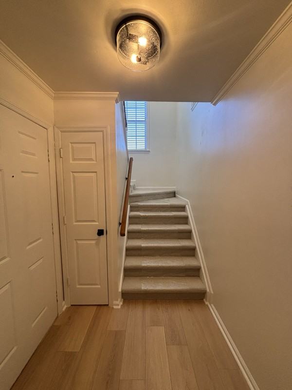 232 Cottage Pl - Photo 2 of 19