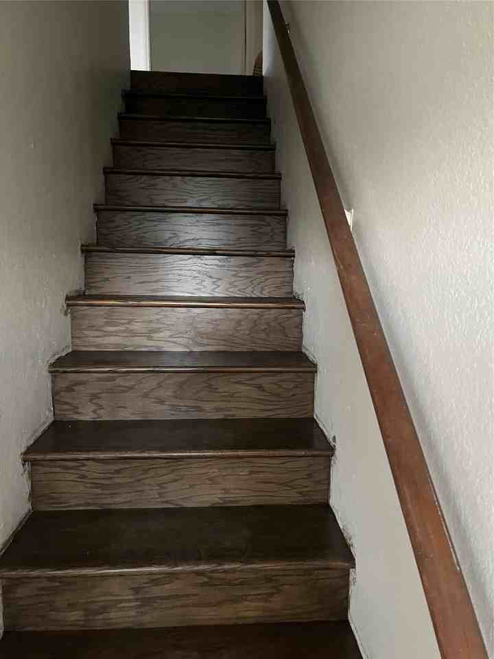 803 Bluebonnet Dr - Photo 5 of 11