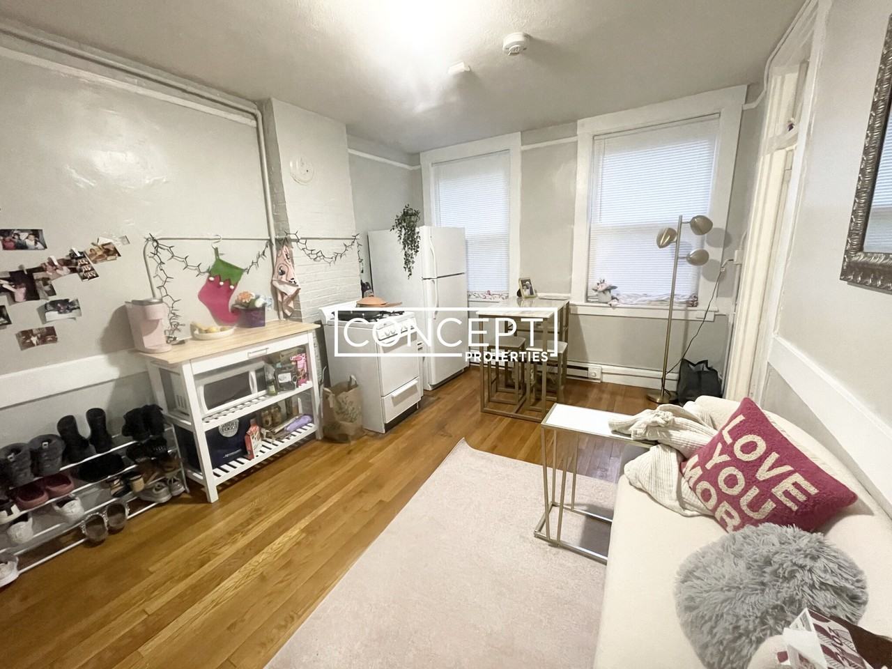 161 Endicott St #2R - Photo 3 of 23