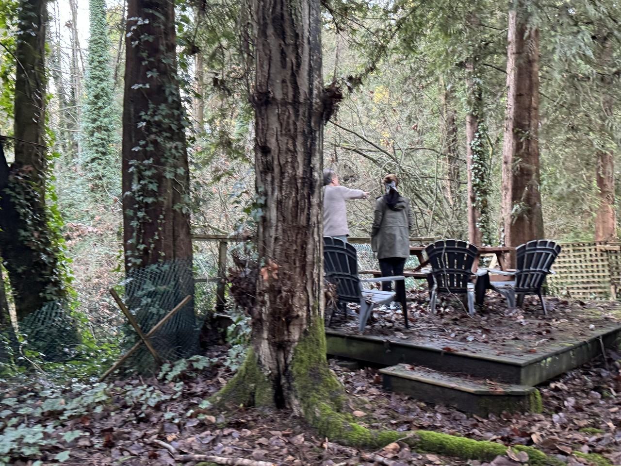 430 Newlands Road #2 - Photo 6 of 58