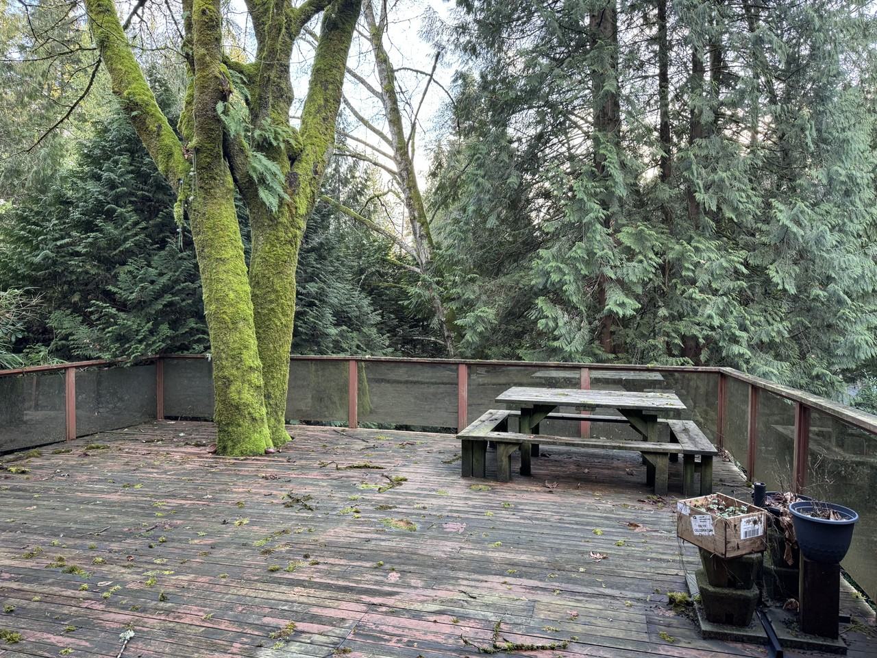 430 Newlands Road #2 - Photo 7 of 58