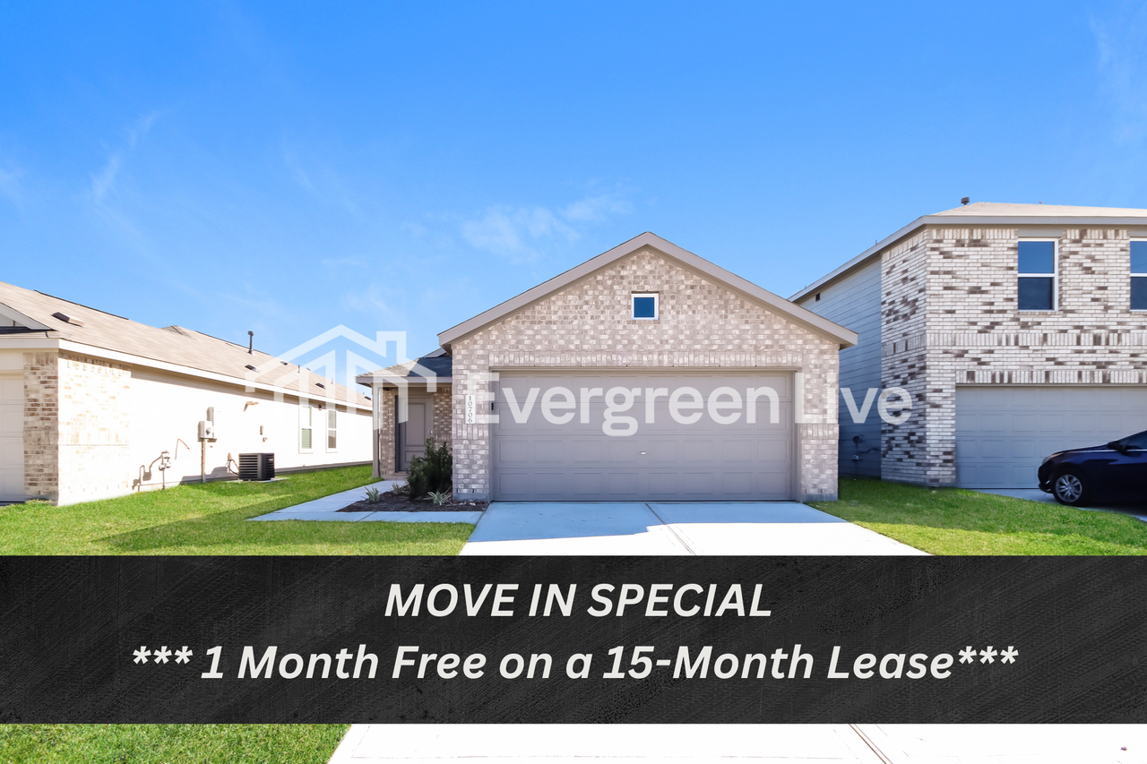 10706 Lavender Cotton Ln