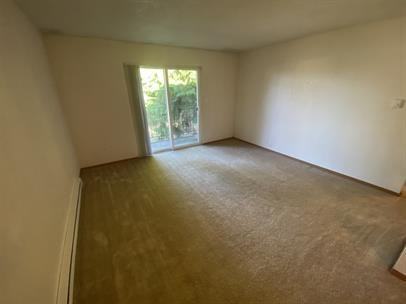 T1120-205 - Photo 3 of 15