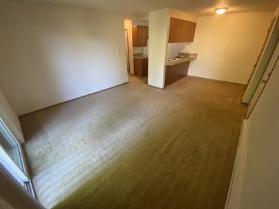 T1120-205 - Photo 4 of 15