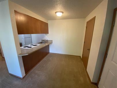 T1120-205 - Photo 6 of 15