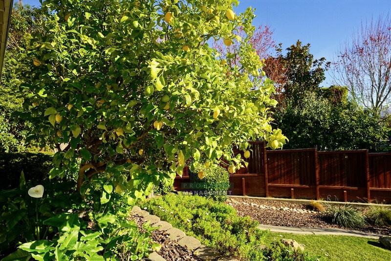 62A Dunfries Ter - Photo 5 of 19