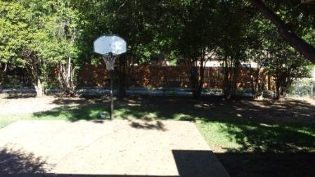 806 British Blvd #1 - Photo 6 of 12