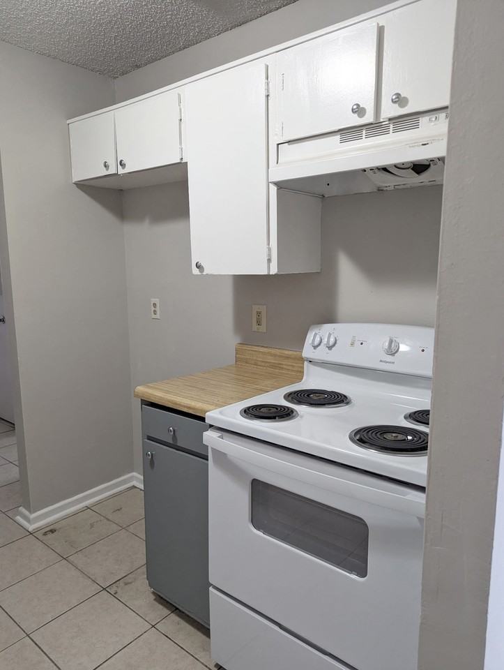 411 Vieux Orleans Cir #D - Photo 3 of 8