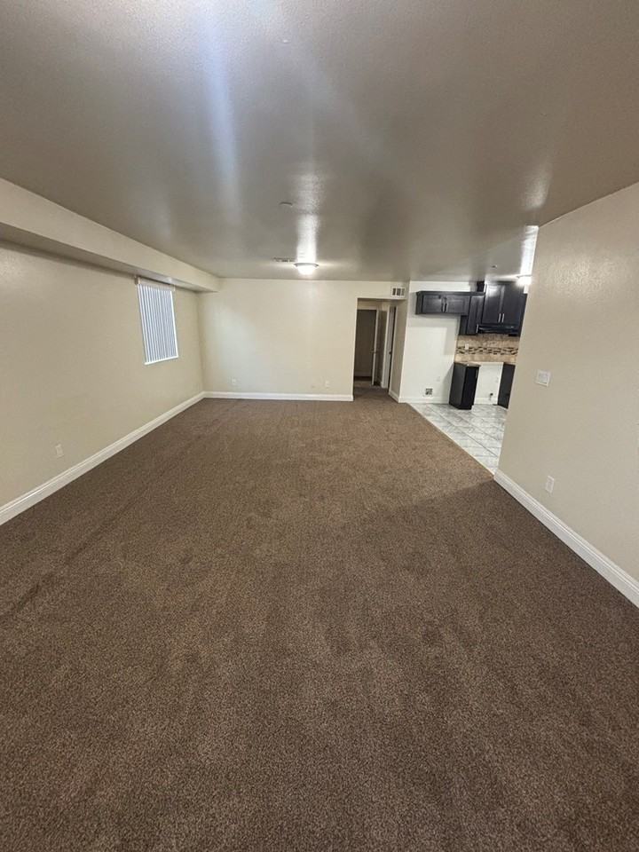 1142 East 50th Street - Photo 3 of 21