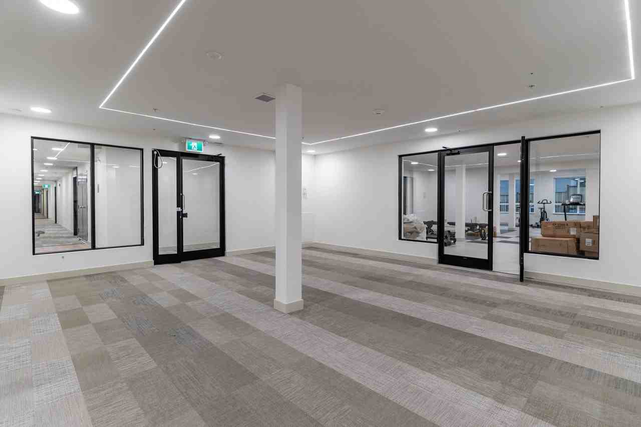 Quinn - Photo 2 of 7