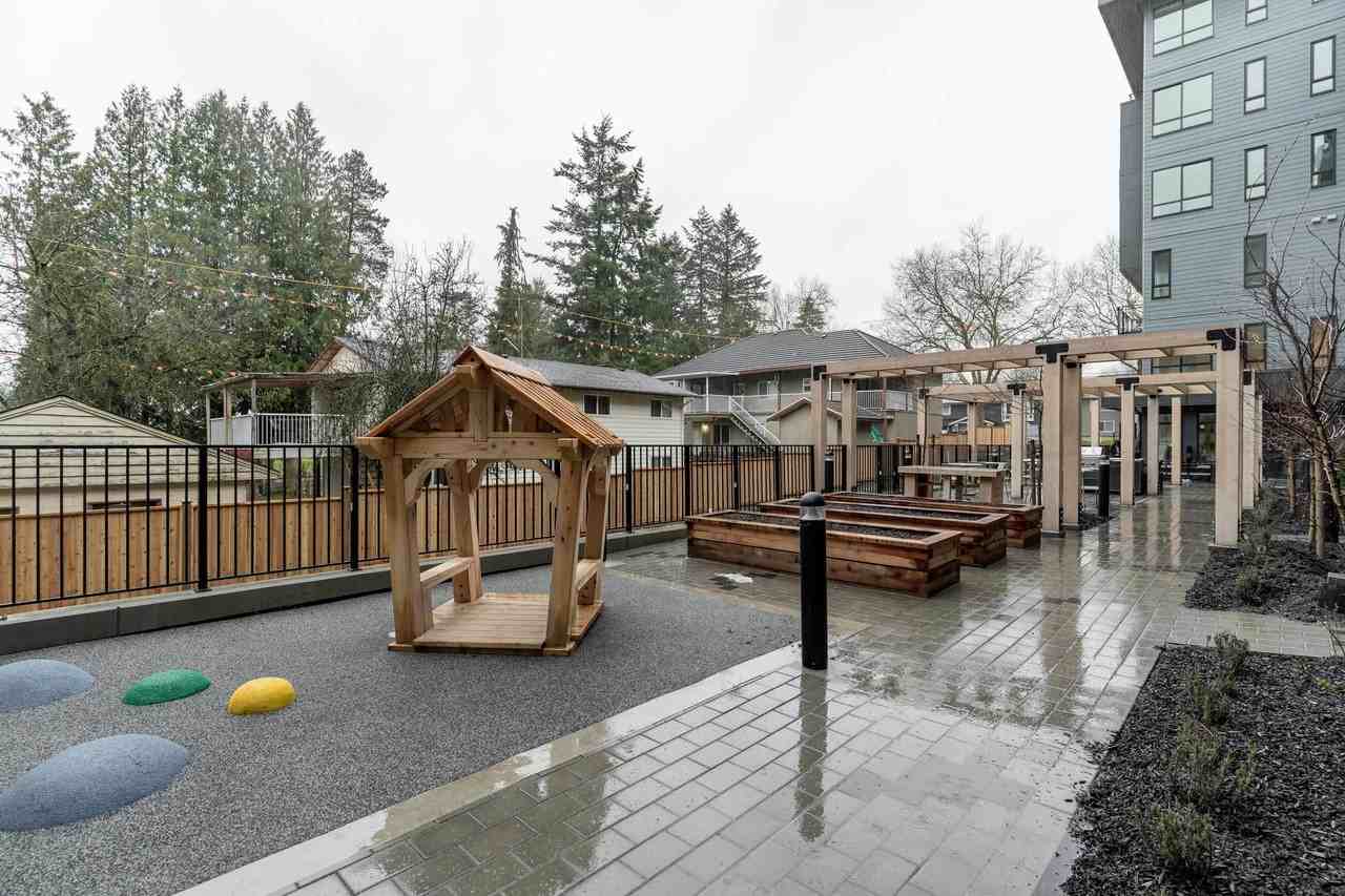 Quinn - Photo 4 of 7