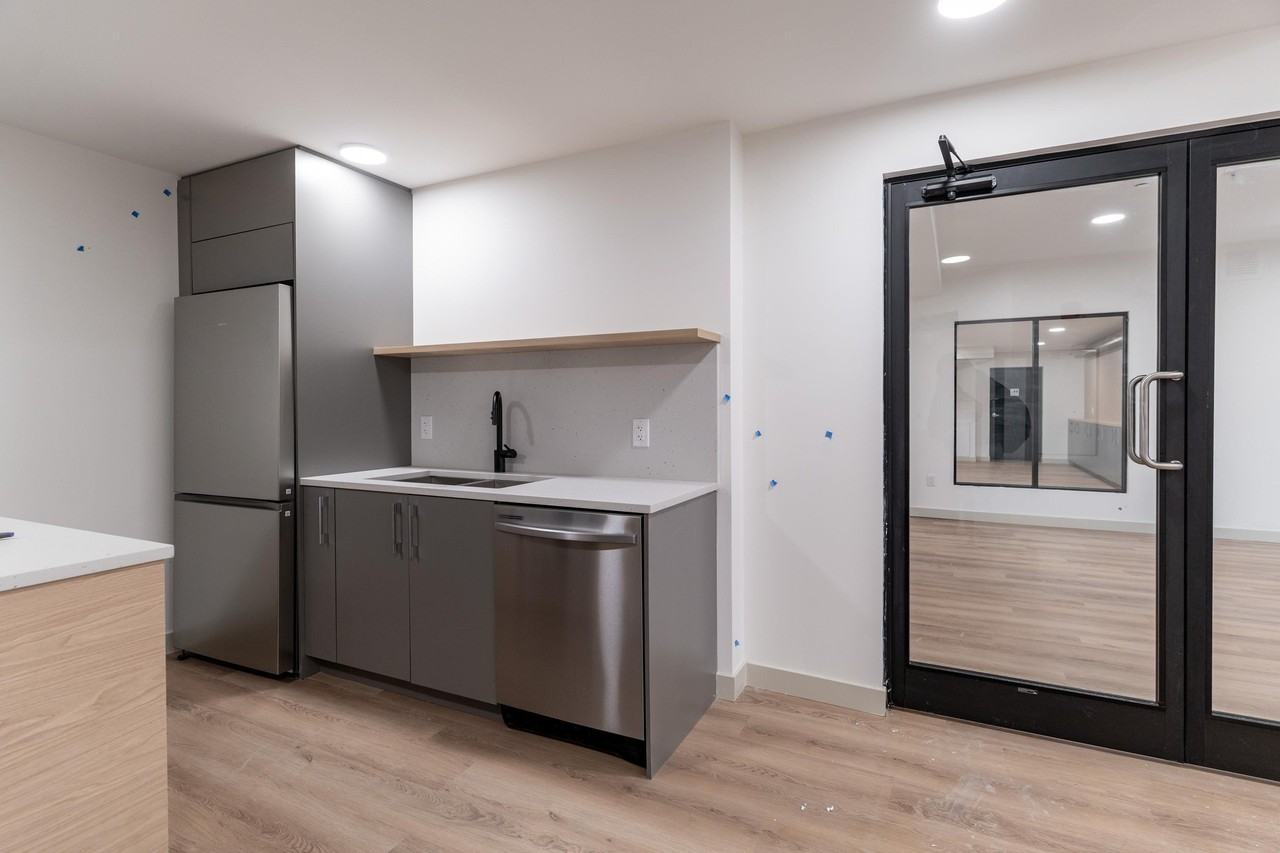 Quinn - Photo 5 of 7