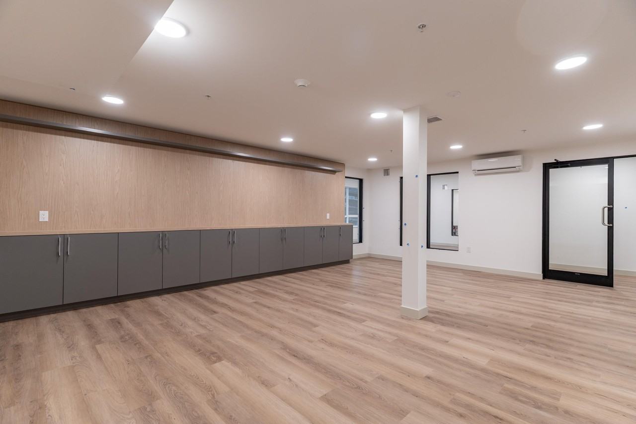 Quinn - Photo 6 of 7