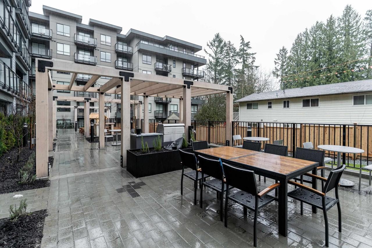 Quinn - Photo 7 of 7