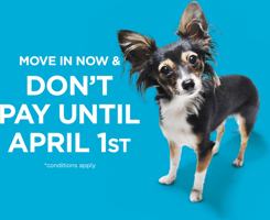 featured image of 21817 91a Ave Nw