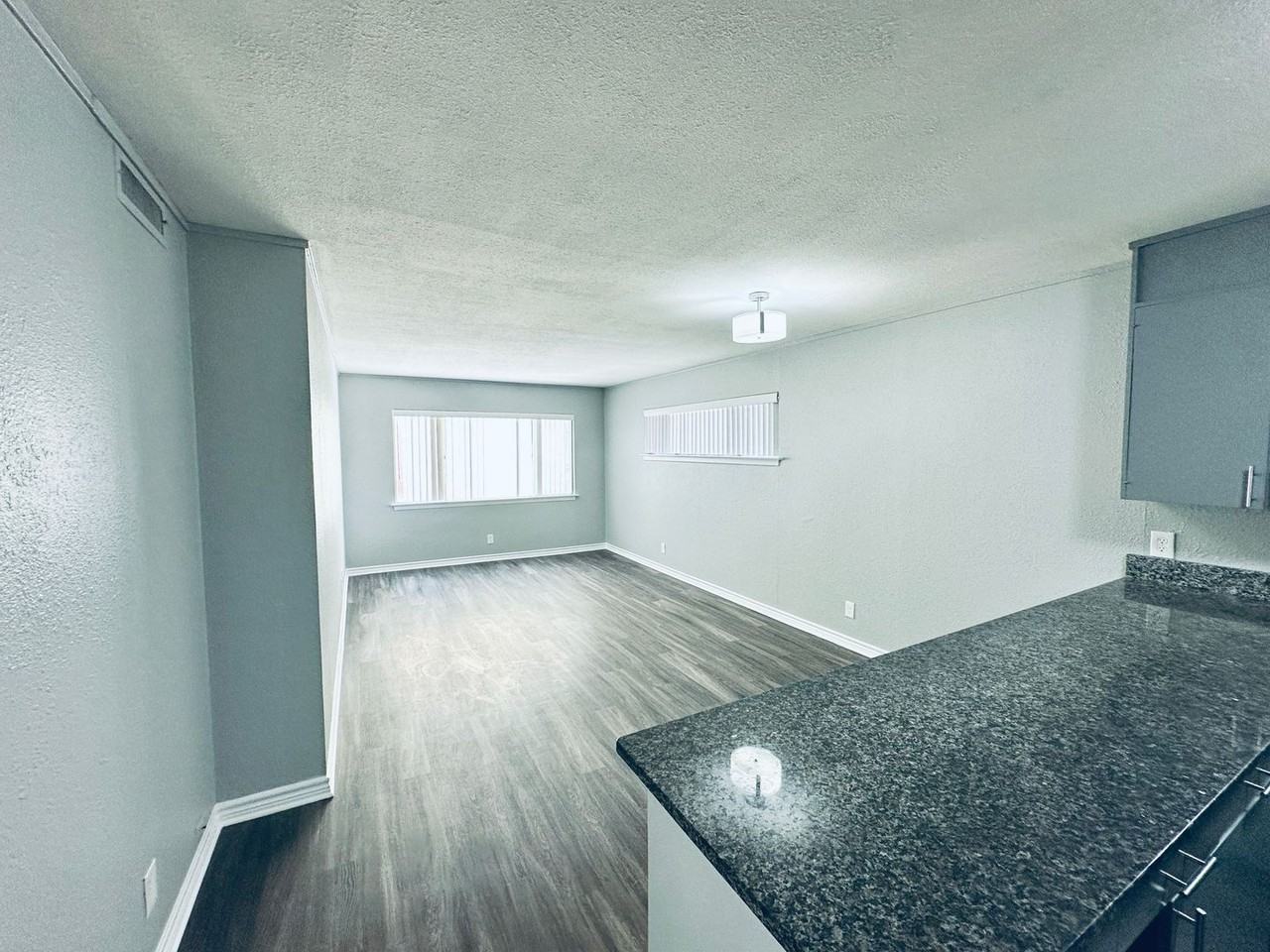 Fabulous landmark Downtown Austin property! Great downtown neighborhood! - Photo 4 of 39