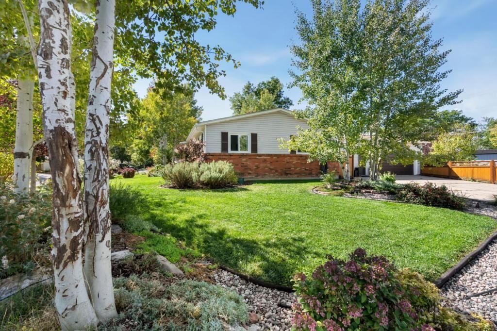 1001 Ida Dr - Photo 3 of 28