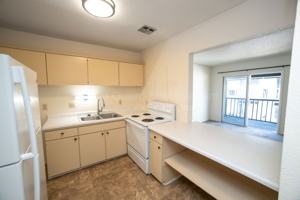featured image of 1508 Oxford Pl #13