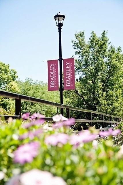 900 The Avenue Apartmentsw Moss Ave - Photo 5 of 10