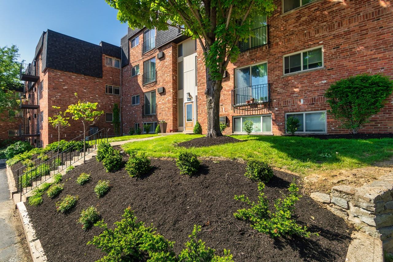 Romaine Court - Photo 3 of 8