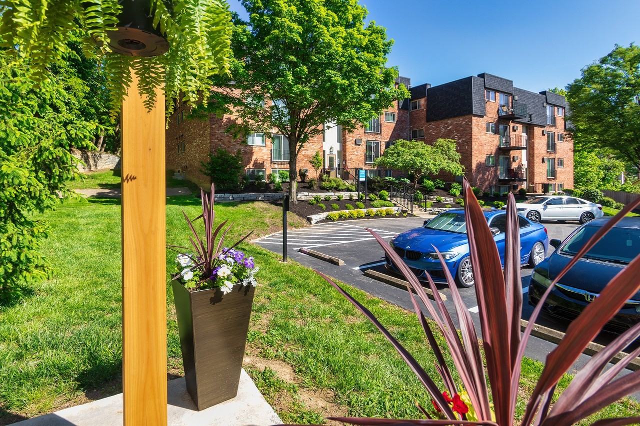 Romaine Court - Photo 5 of 8