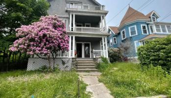 featured image of 259 Cooke St #3