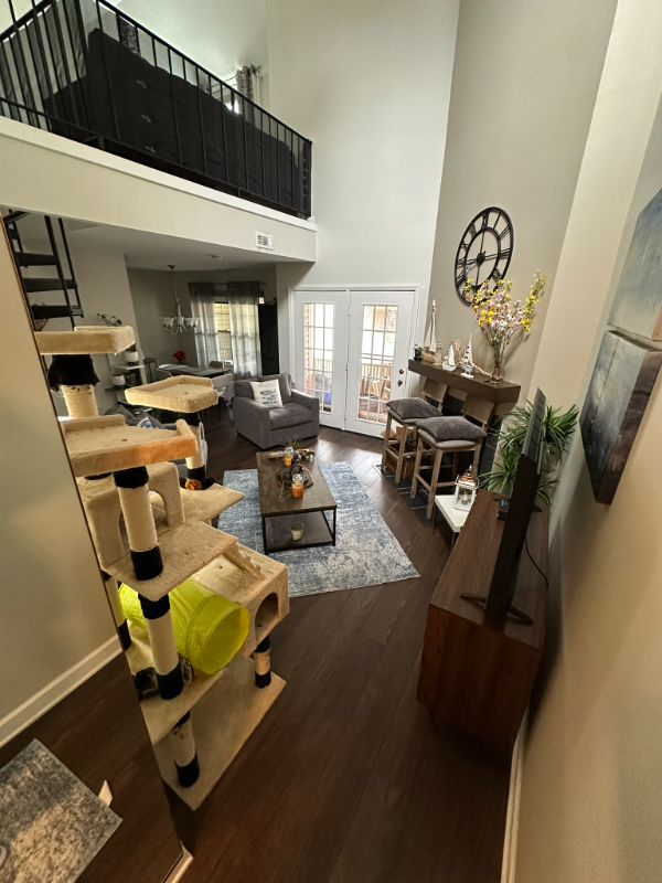 197 Tavistock Rd - Photo 4 of 16