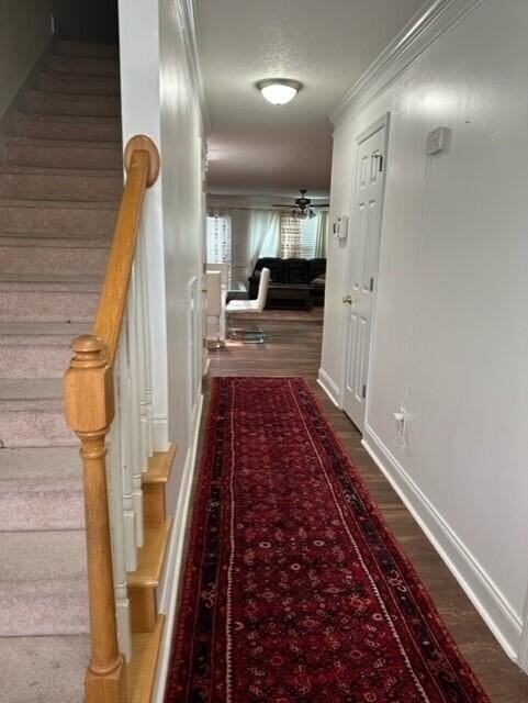 2032 Reserve Ln - Photo 2 of 19