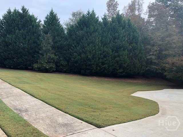 225 Lexington Cir - Photo 7 of 29