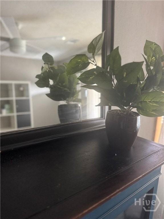 634 Kline St - Photo 5 of 28