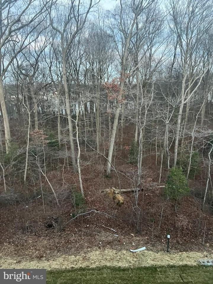 304 Sweetbay Rd - Photo 5 of 16