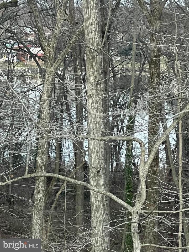 304 Sweetbay Rd - Photo 6 of 16