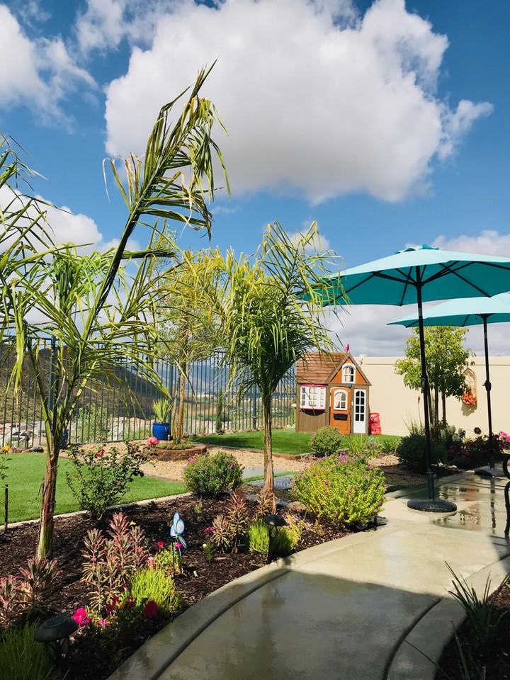 24255 Lilac Ln - Photo 6 of 12