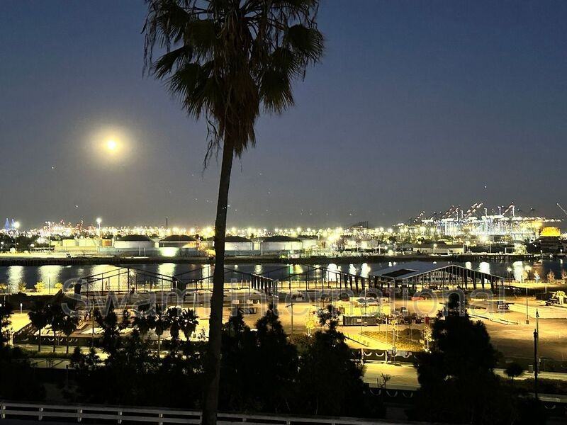 1131 S Beacon St #03 - Photo 4 of 12