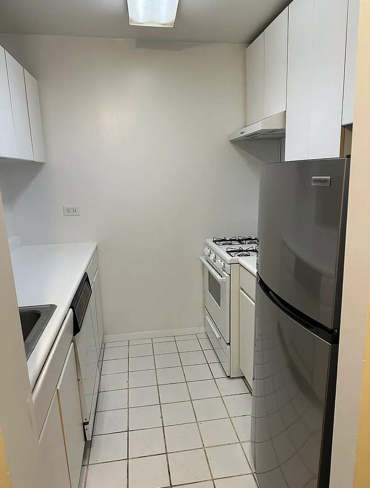 215 W 95th St #3A - Photo 5 of 9