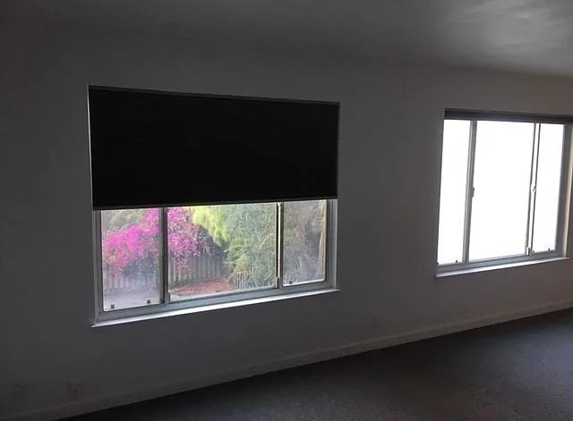 227 Clinton Park #2 - Photo 4 of 6