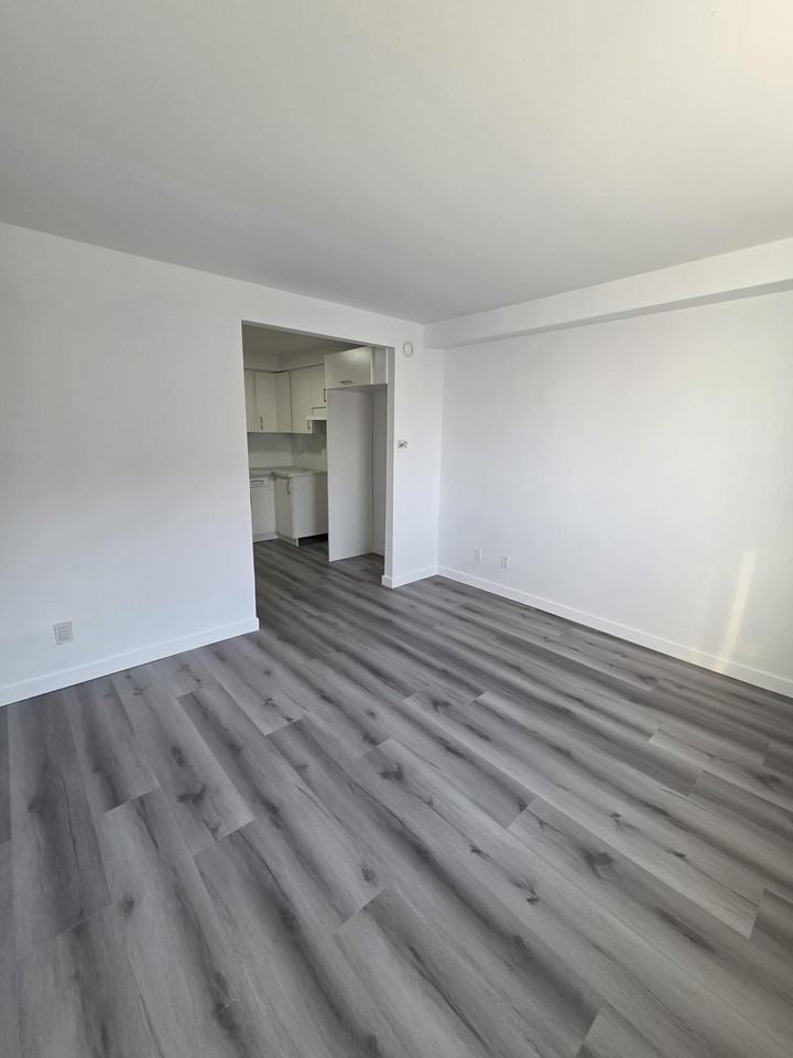 1575 Rue-Notre-Dame-de-Grâces #15 - Photo 5 of 7