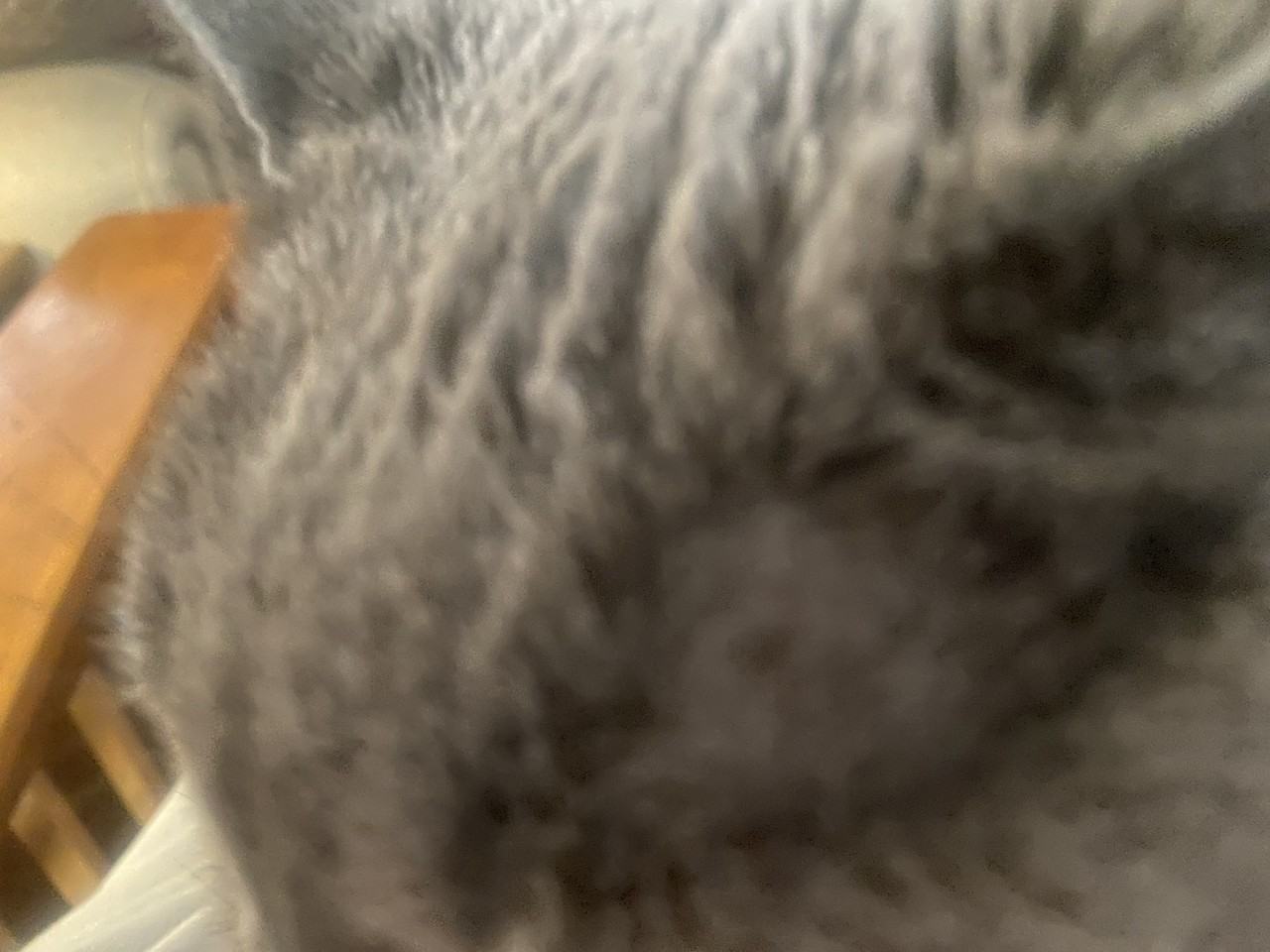 110 Locust Street - Photo 2 of 11