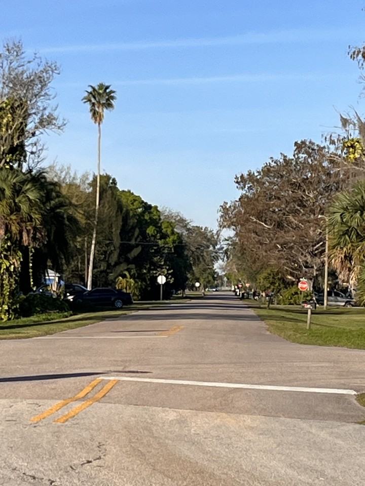 384 Avenue N Sw #3 - Photo 2 of 9